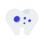 Invisalign and aligners icon